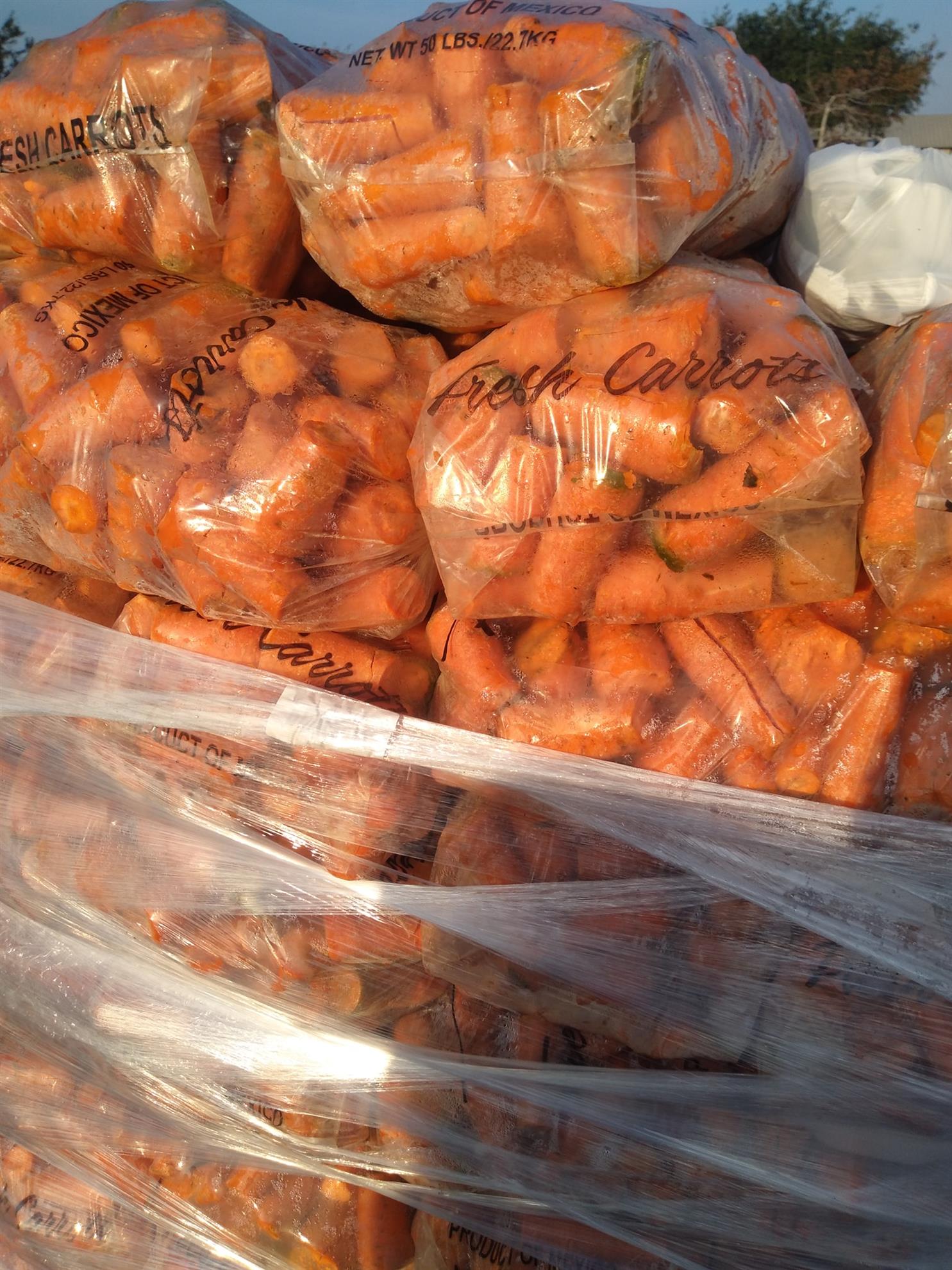 Food-Distribution-2021---94.jpg