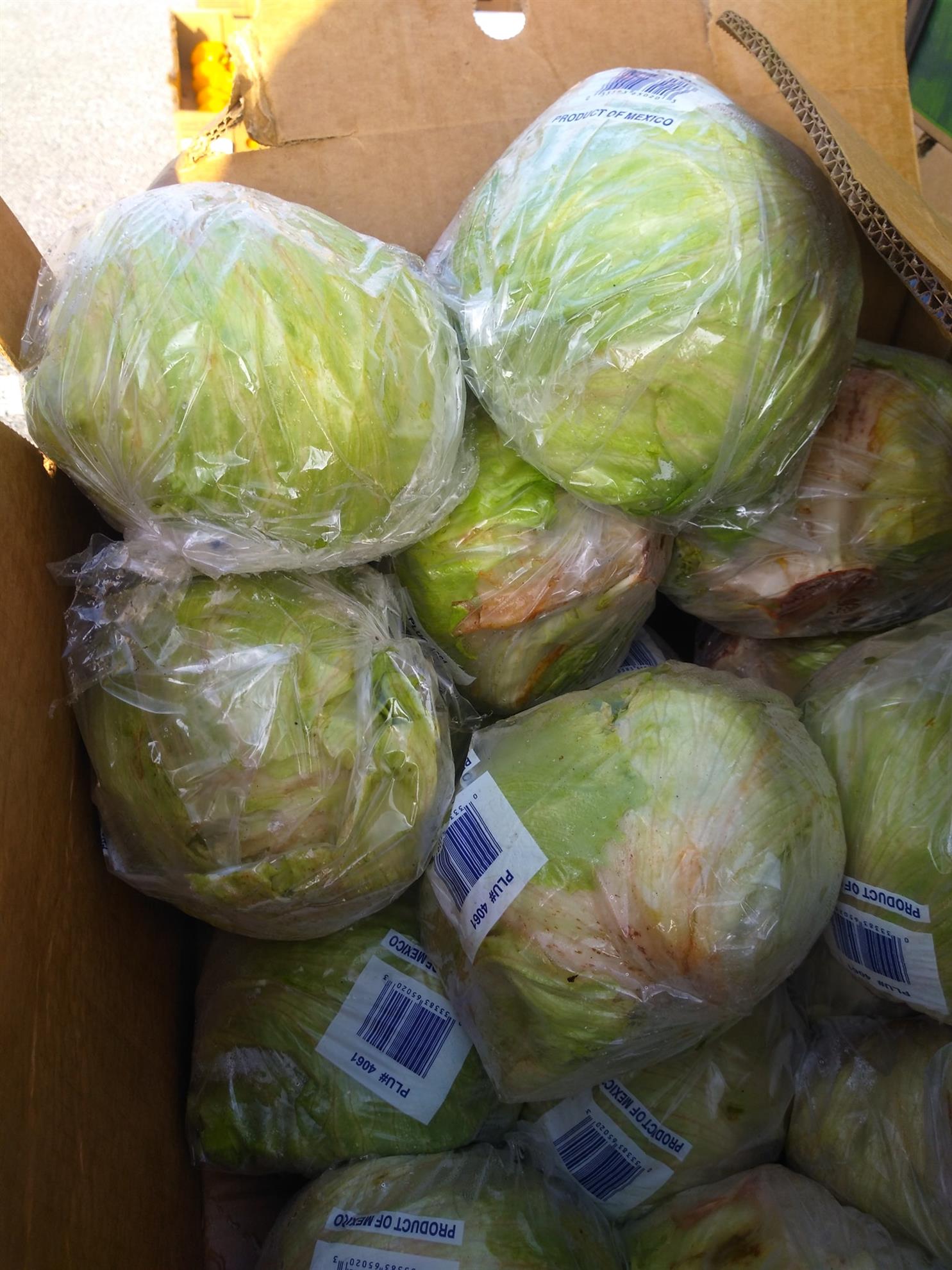Food-Distribution-2021---99.jpg