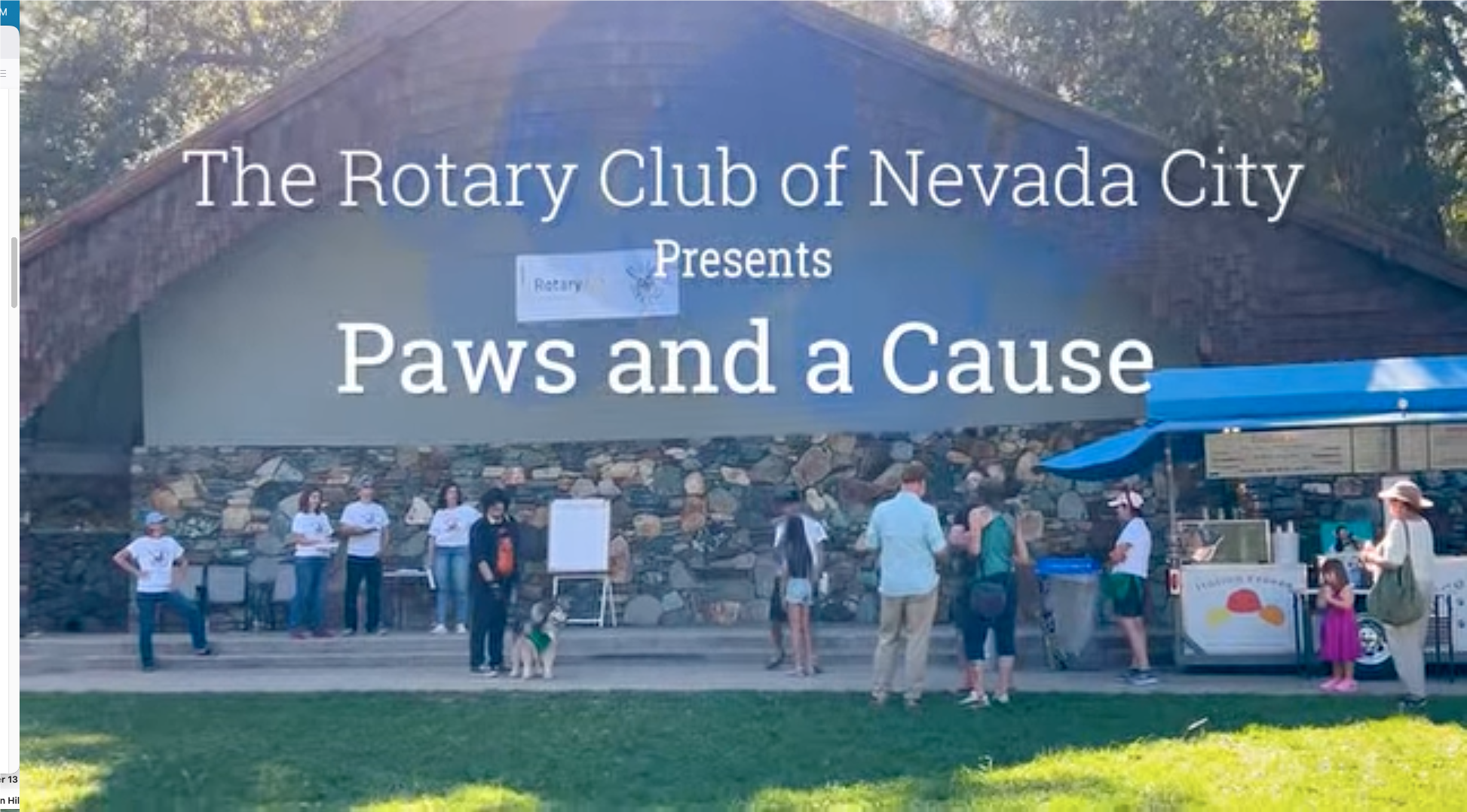 Paws and A Cause 2025 video