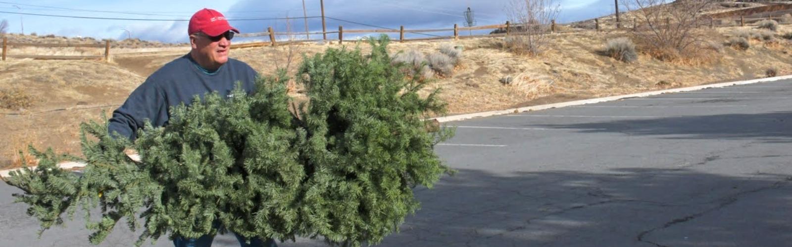 Christmas Tree Recycling Project