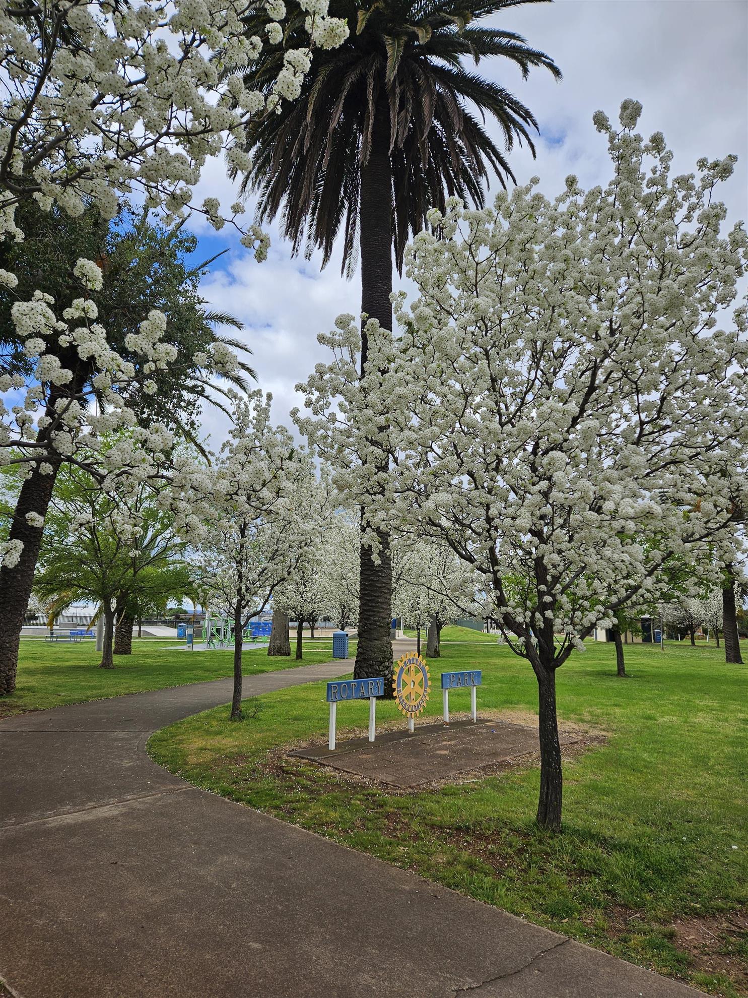 Rotary Park in Spring