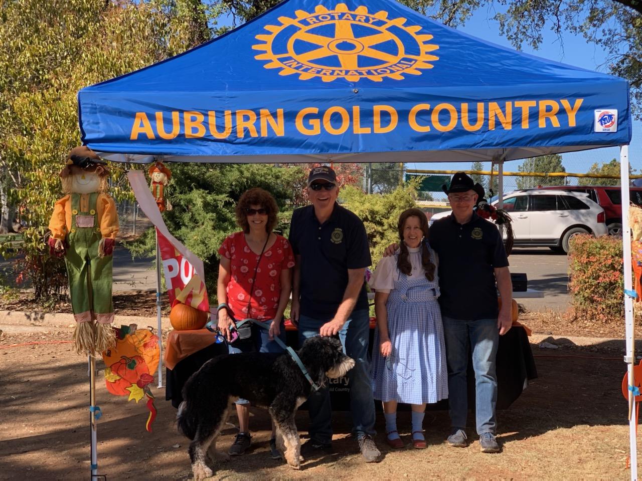 Harvest Festival Rotary Club of Auburn Gold Country