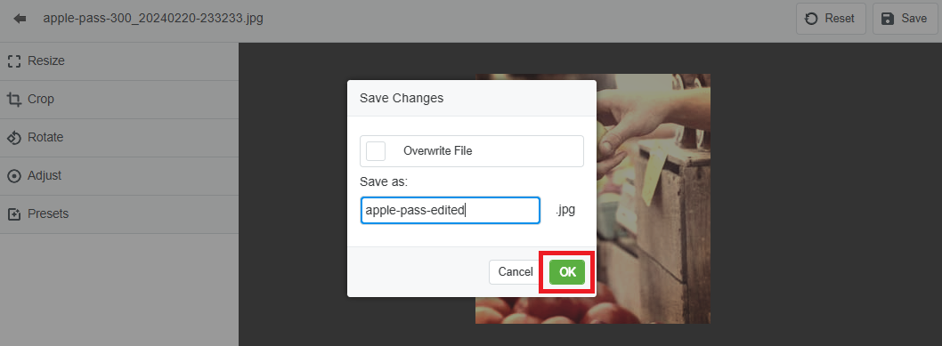 Enter a file name for a new copy or click OK to save your changes to the original