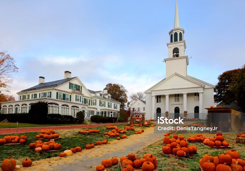 pumpkins-on-main-st-093026..jpg