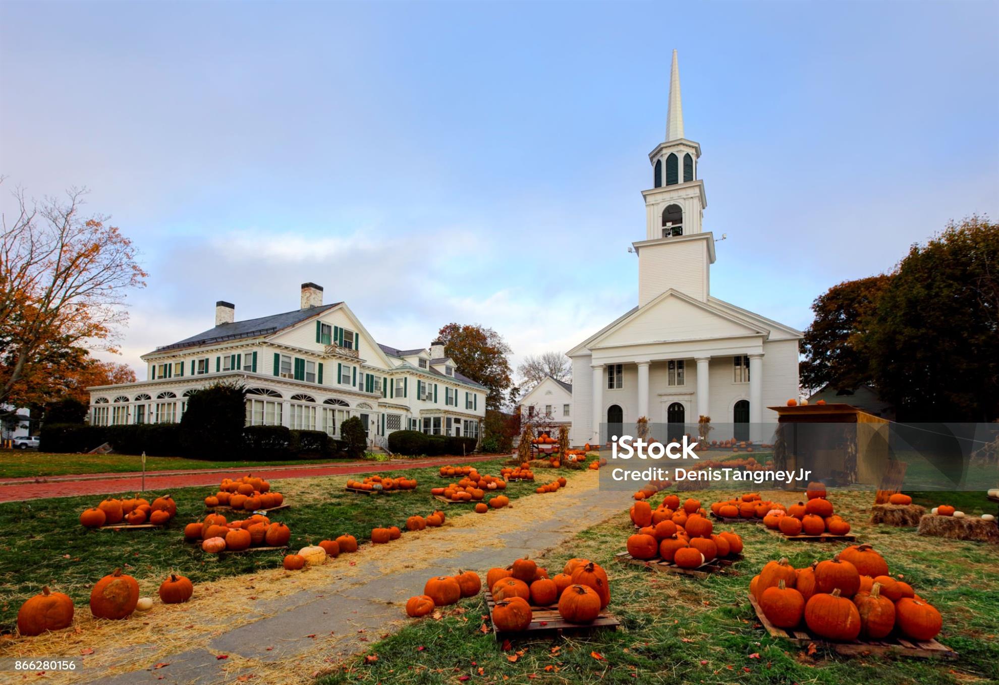 pumpkins-on-main-st..jpg