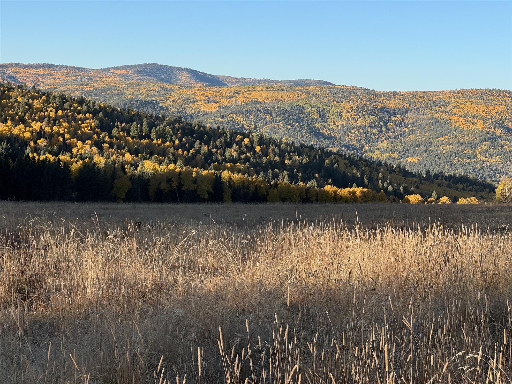 FB - Angel Fire Rotary Club & Foundation