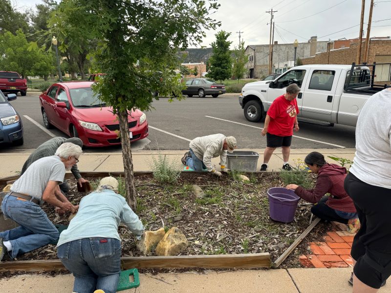 Raton Rotary Pop Up Clean Up