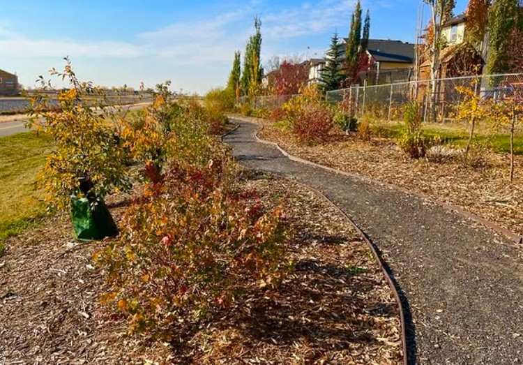 Edible Forest Donations