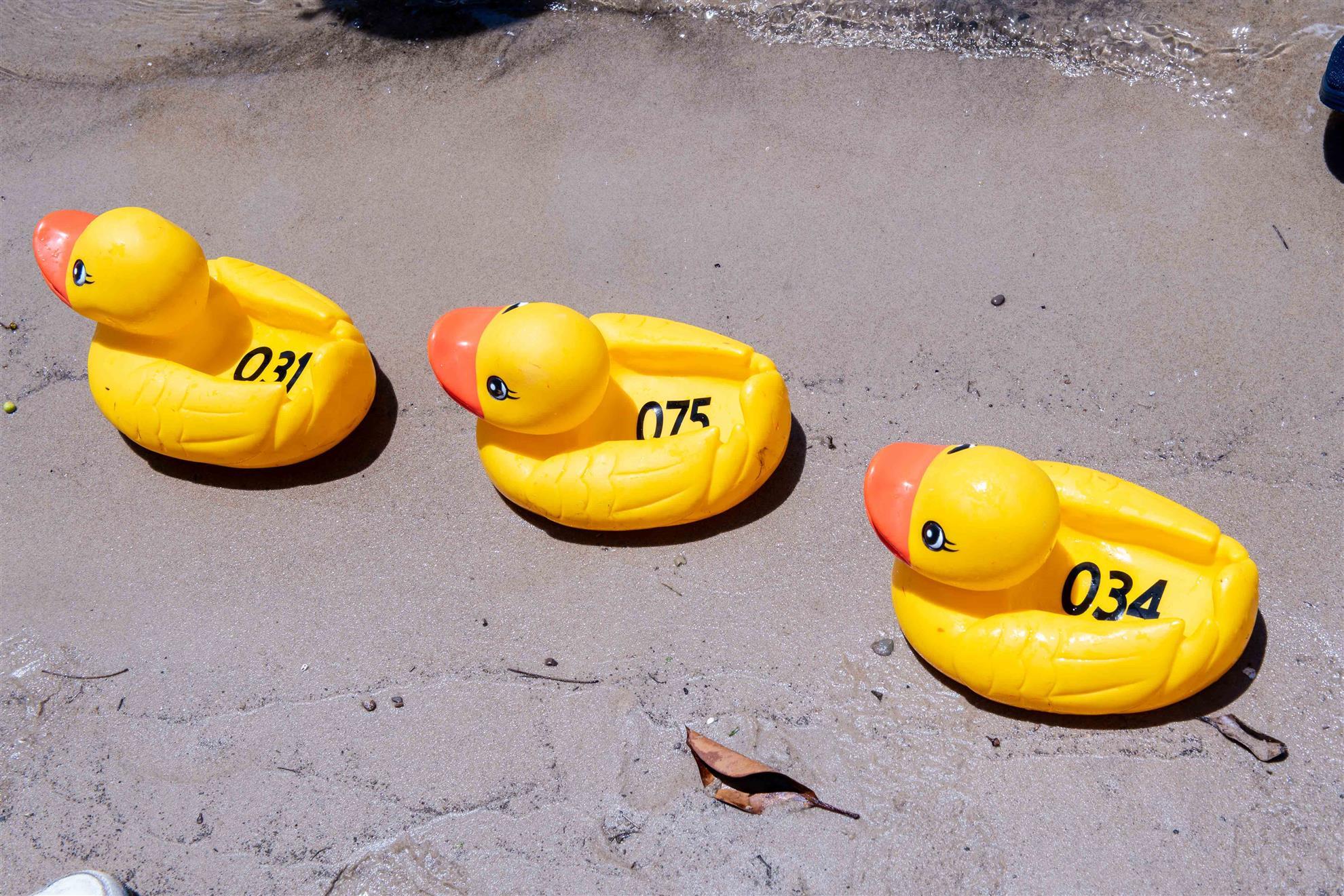 EVENT---The-Great-Duck-Race-2024-120.jpg
