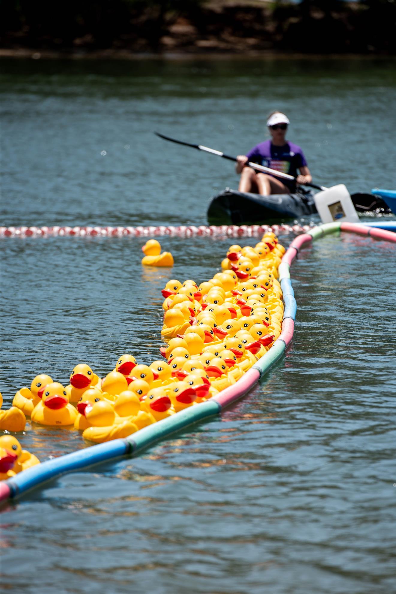 EVENT---The-Great-Duck-Race-2024-84.jpg