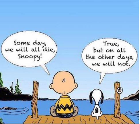 Some-day-we-ll-all-die--Snoopy.JPG