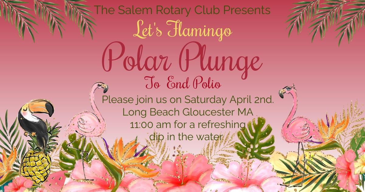 Polar Plunge as a Flamingo on April 2nd at Long Beach in Gloucester