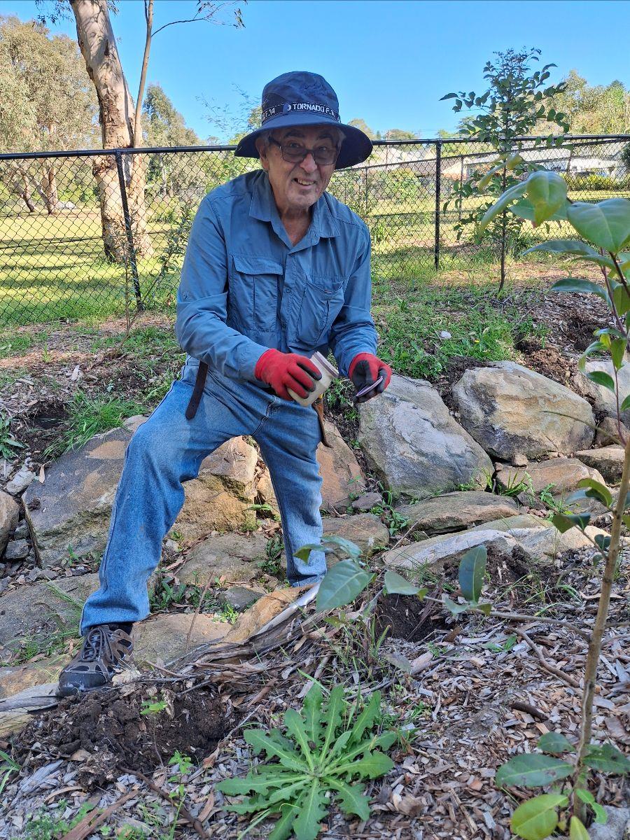 A volunteer clearing ground near a rock wall