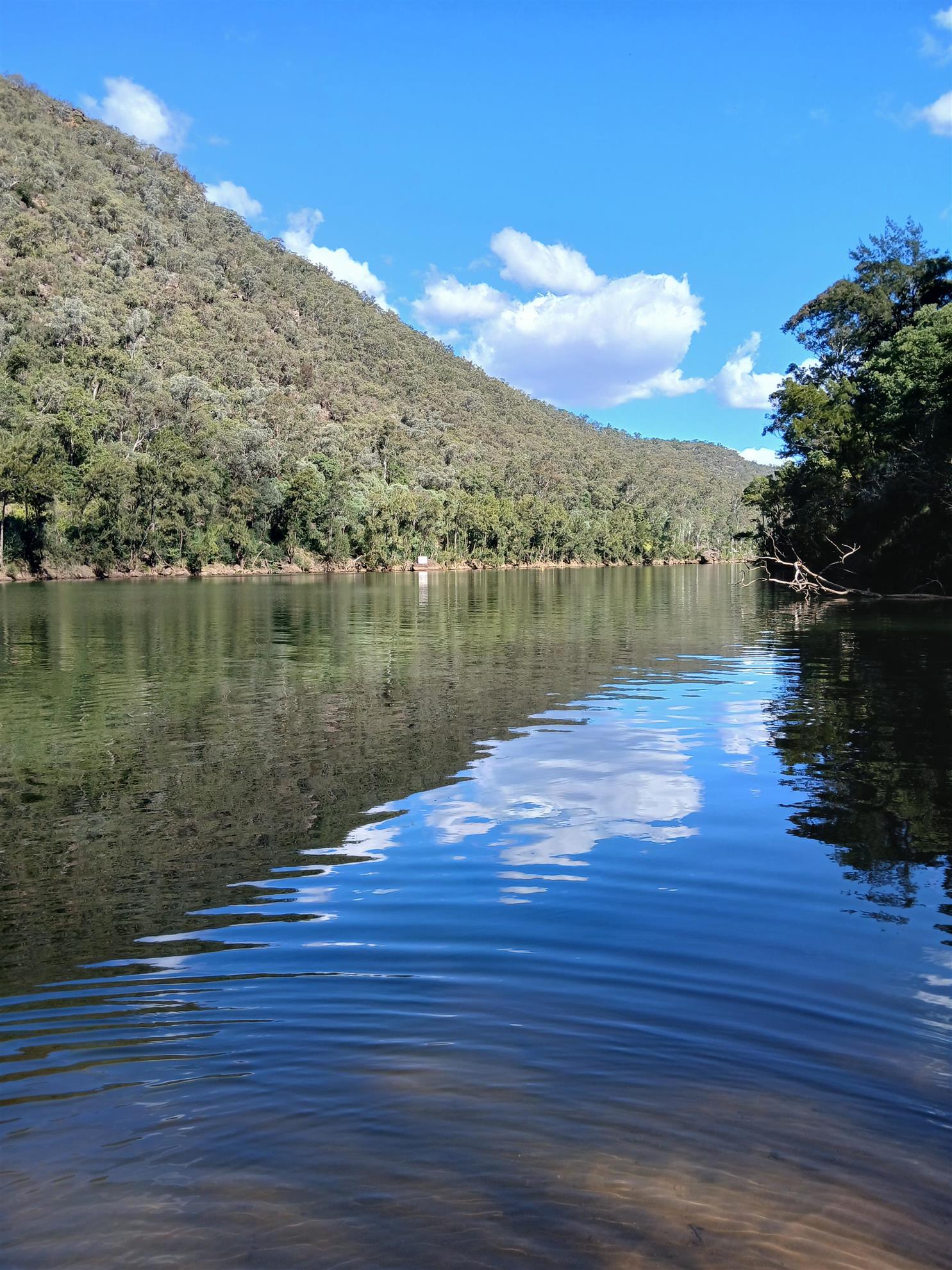 View along the river at Glenbrook National Park near Euroka Clearing