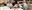 514257488_709953138337225_3682458001571130329_ncrop.jpg
