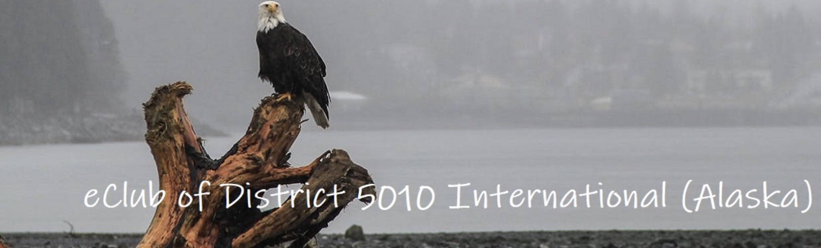 eClub Website Update Meeting