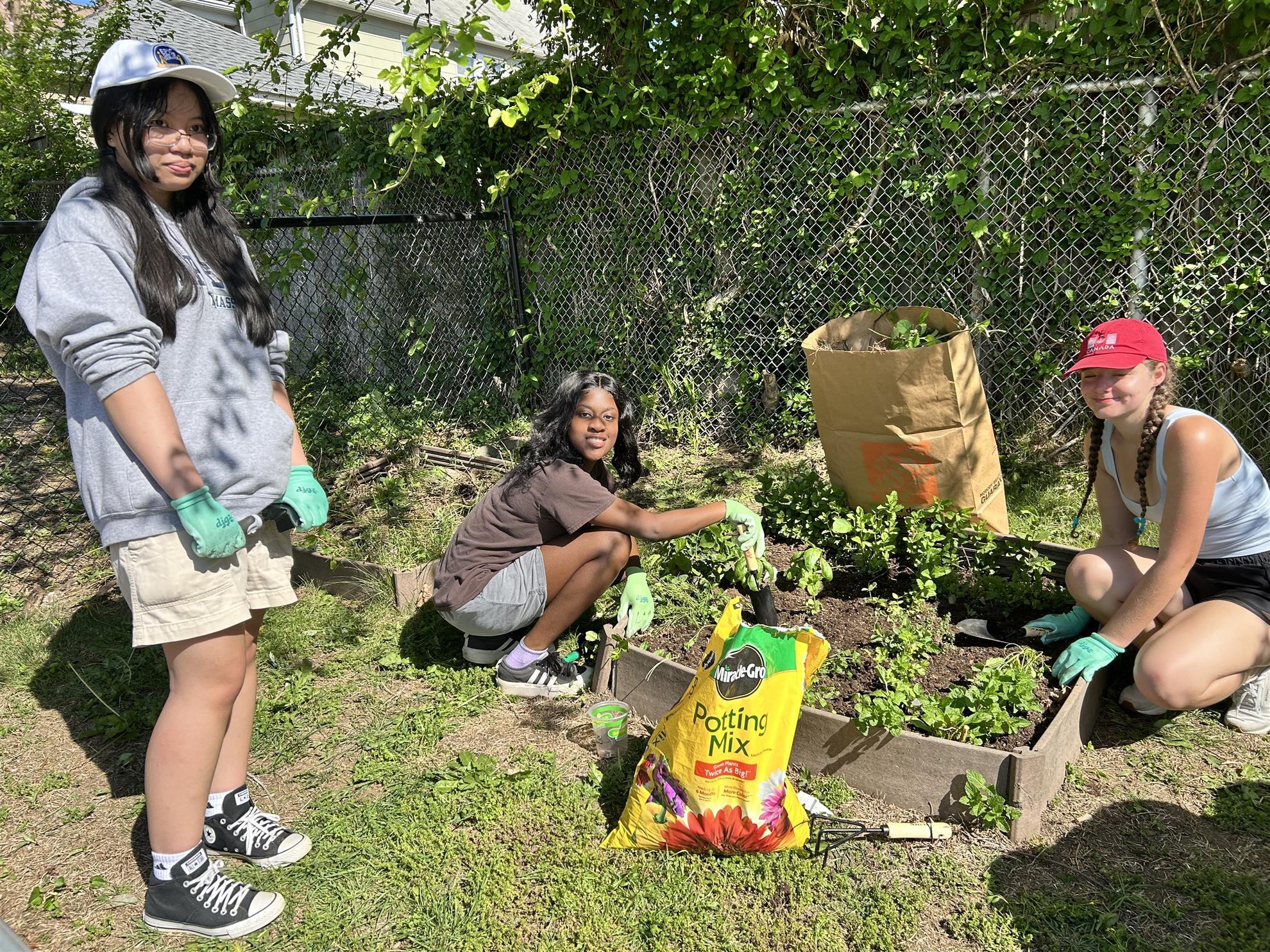 Stratford Rotarians and Interactors Planting Garden