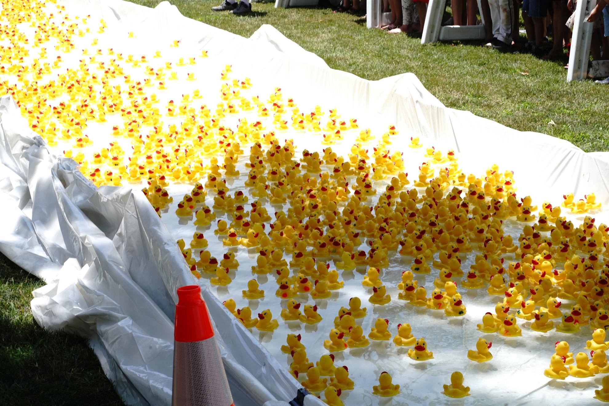 duck-race-9-copy.JPG