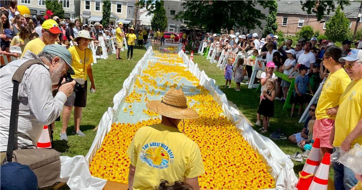 The Great Duck Race finish line
