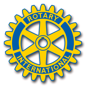Rotary Gear  300x300 