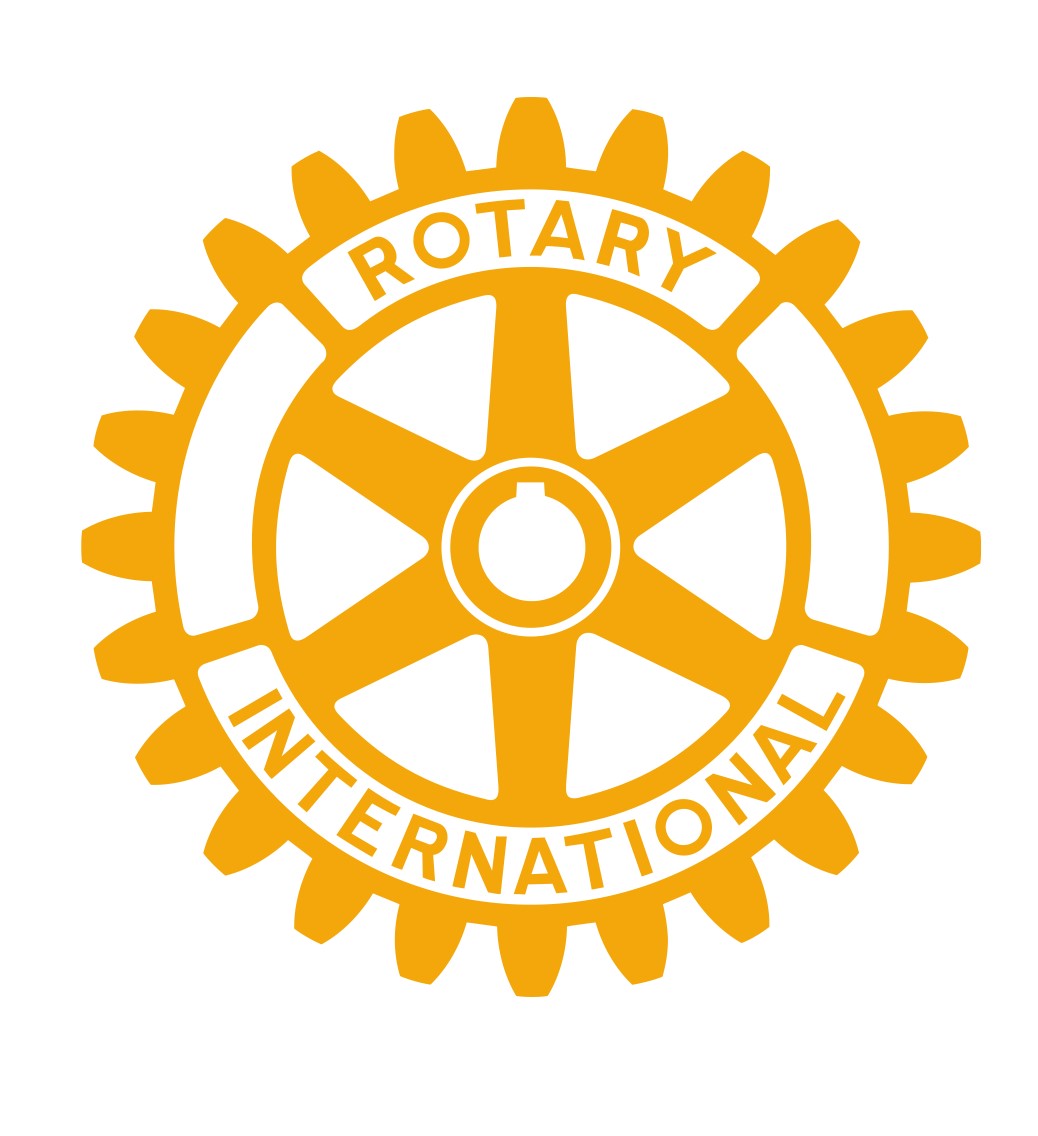 Rotary International 300