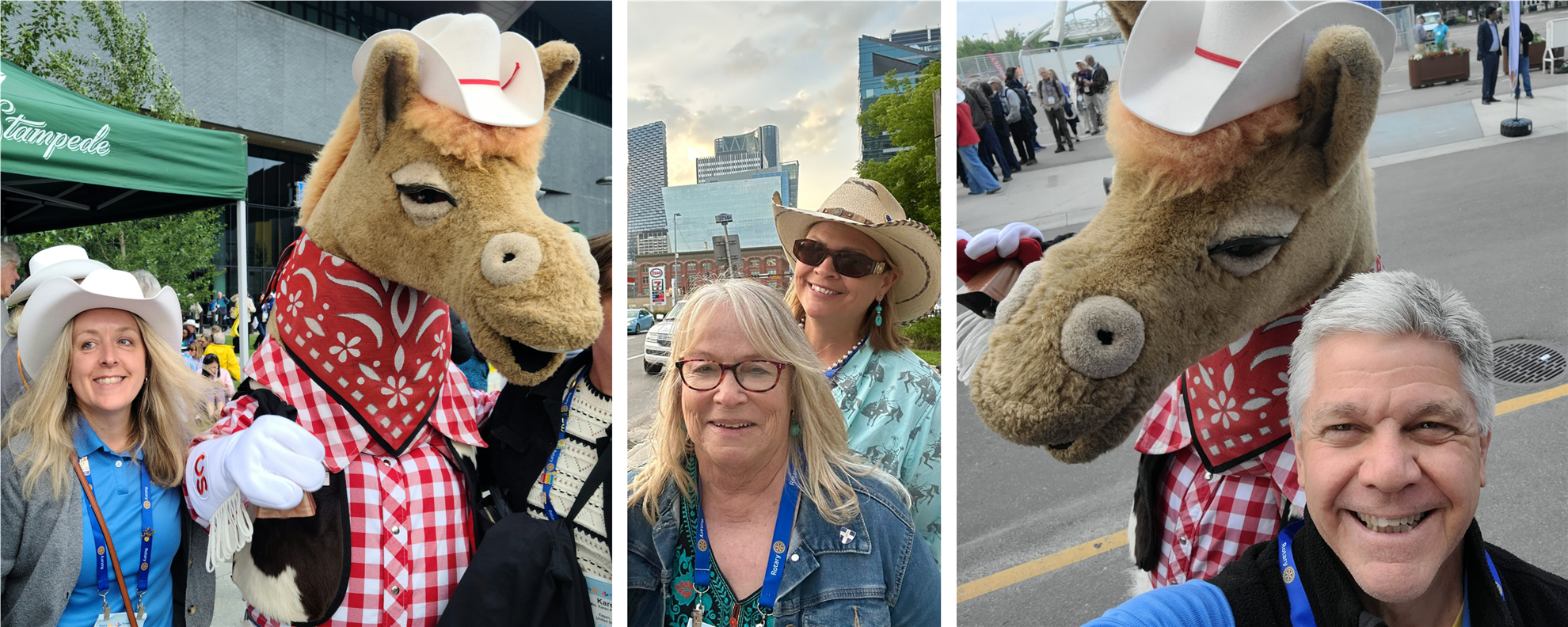 Calgary-horse.png