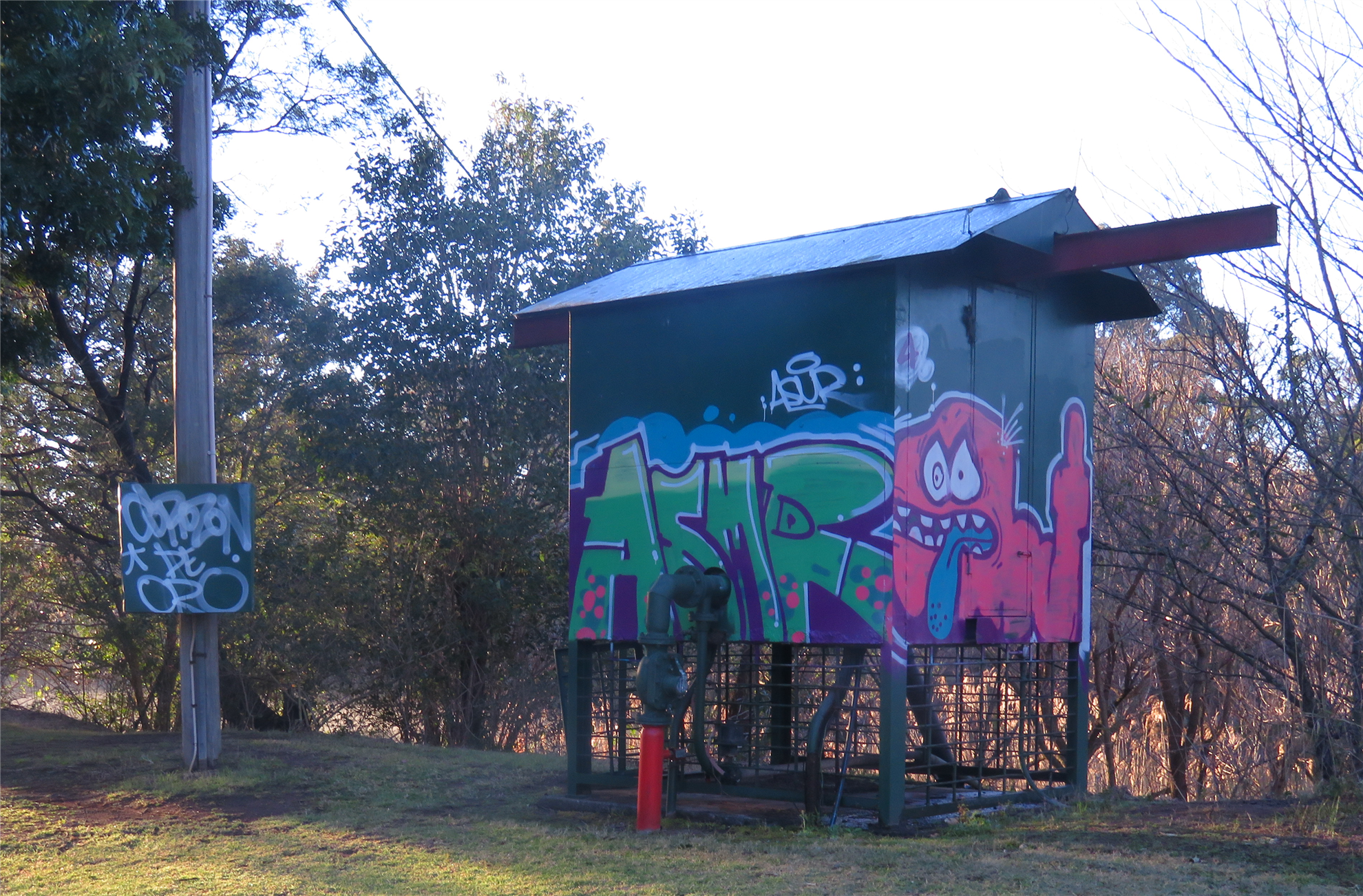 Example of local graffiti