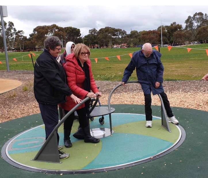 All access carousel at Wilfred Taylor Reserve