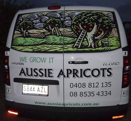 Aussie Apricots