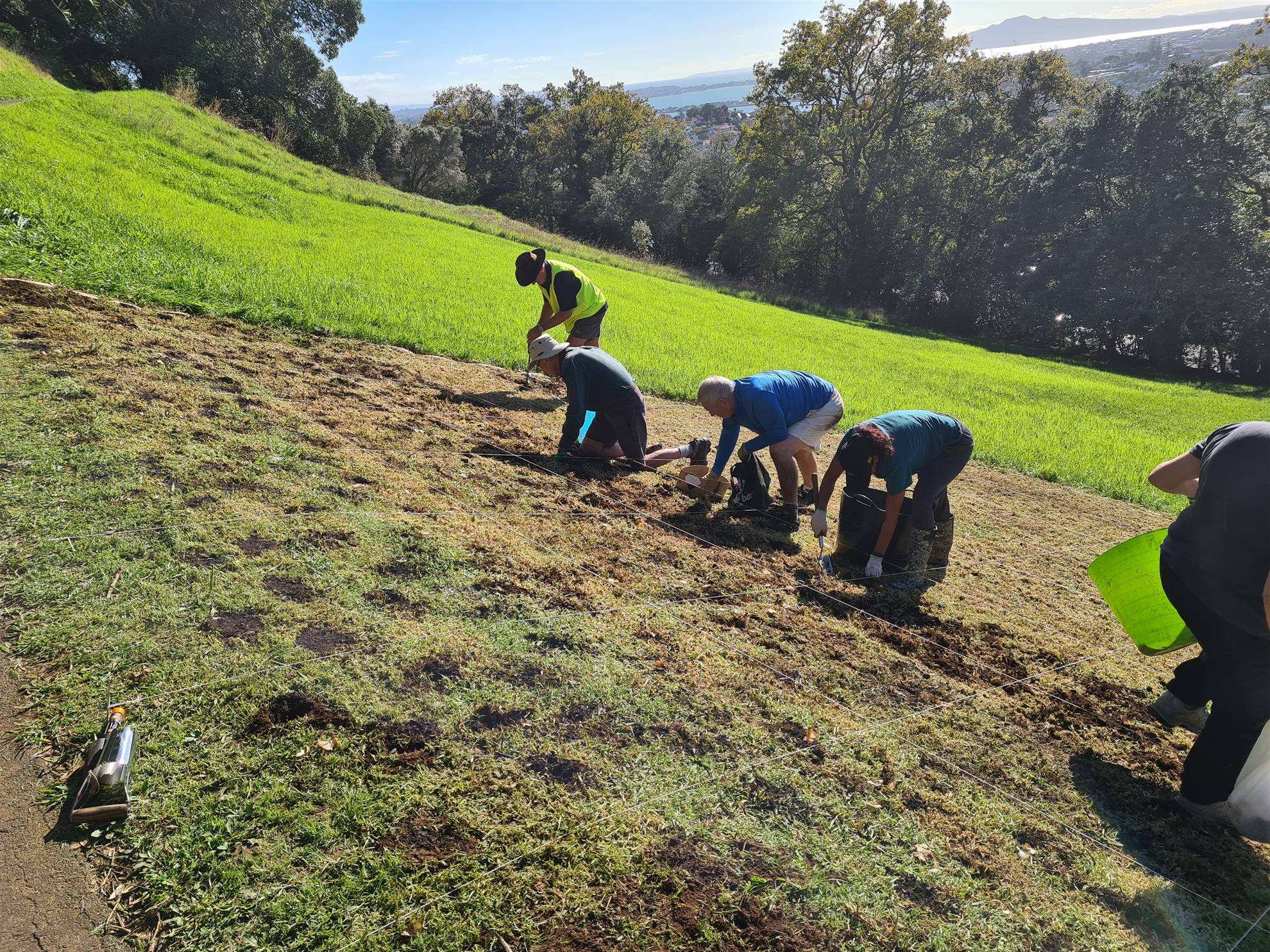 Daffodil-planting-1.jpg