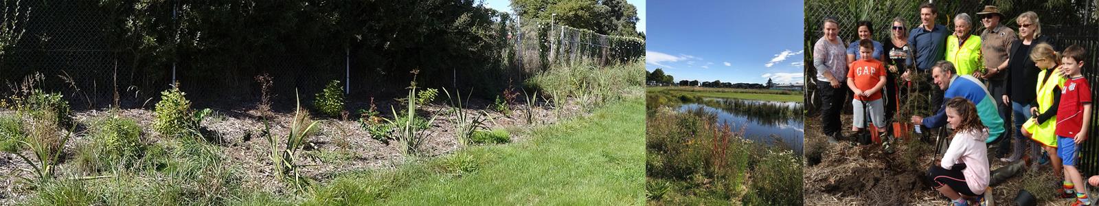 Papanui Bush Regeneration