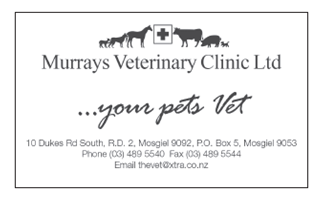 Murray's Veterinary Clinic