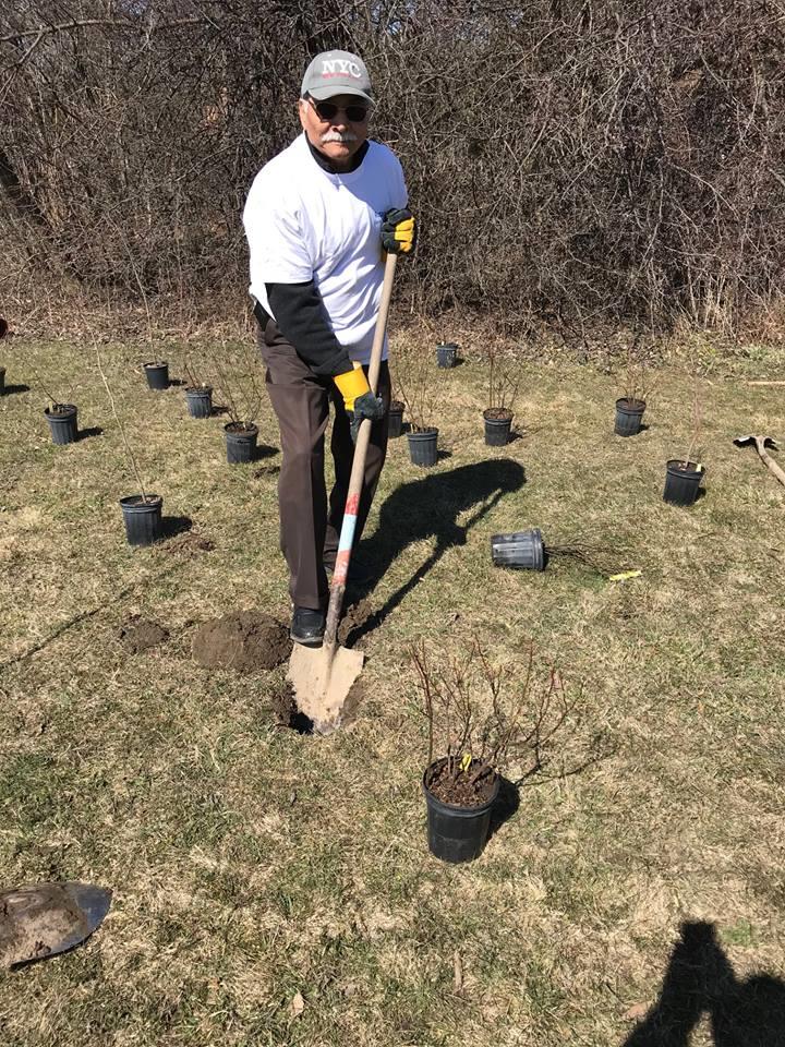 RC Mississauga South Hashim Taqvi planting a tree