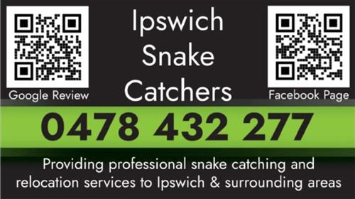 Ipswich Snake Catchers