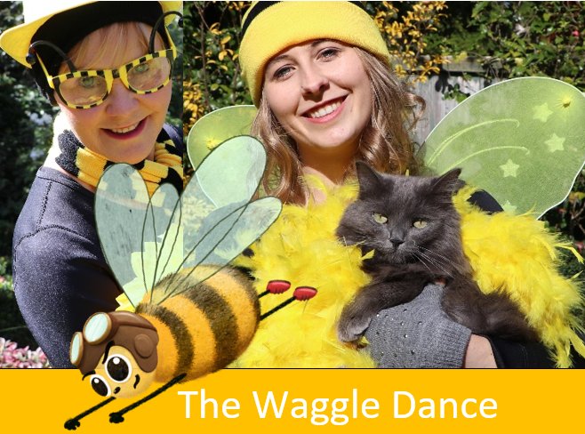 Waggle Dance Creates Excitement