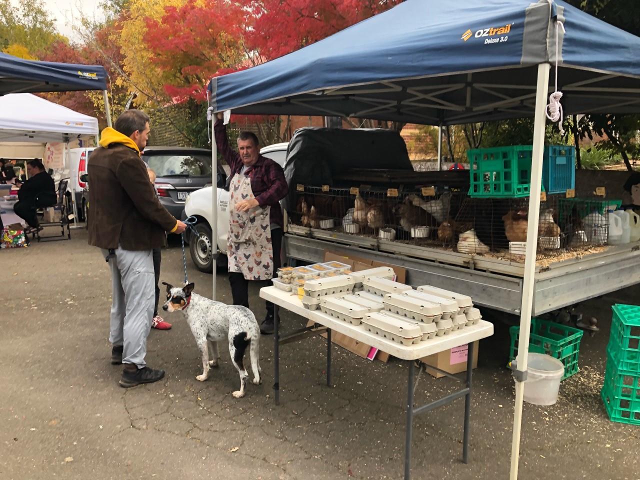 Daylesford Farmers Market Rotary Club of Daylesford