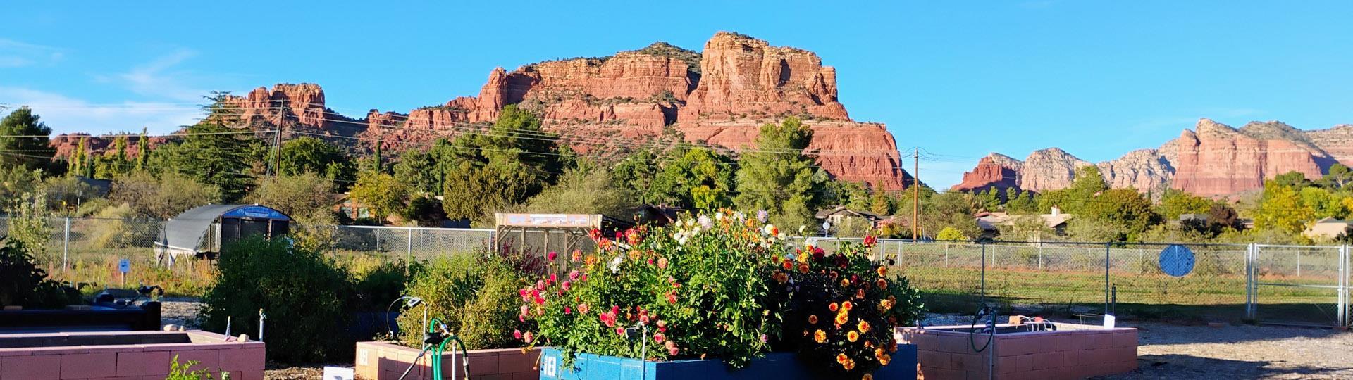 In the Red Rocks of Sedona