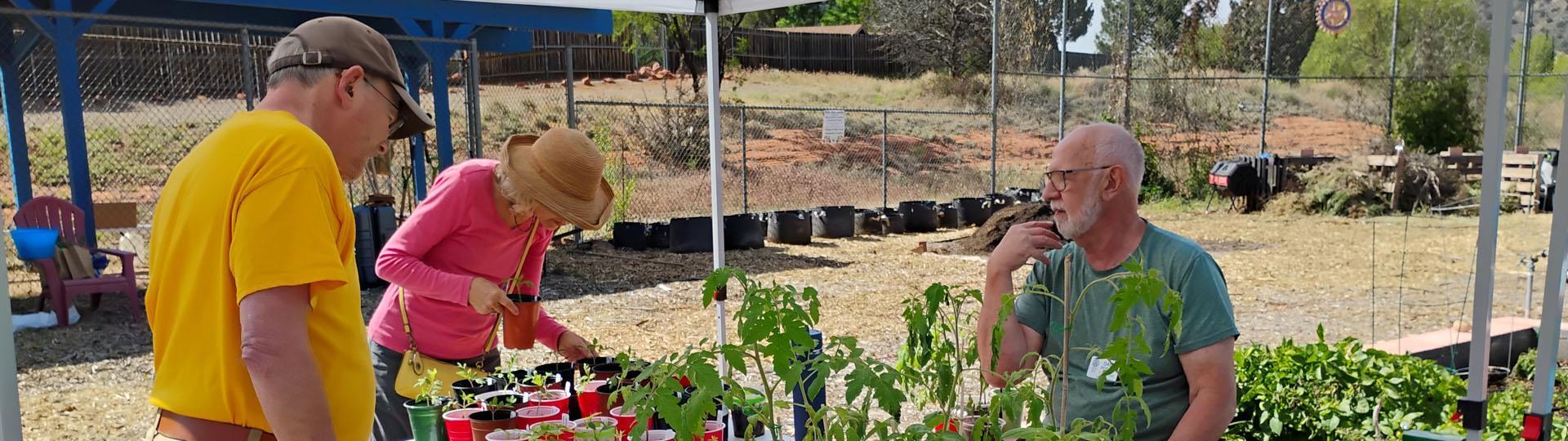 Spring Plant Sale