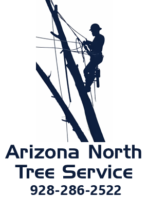 Arizona North Tree Service logo