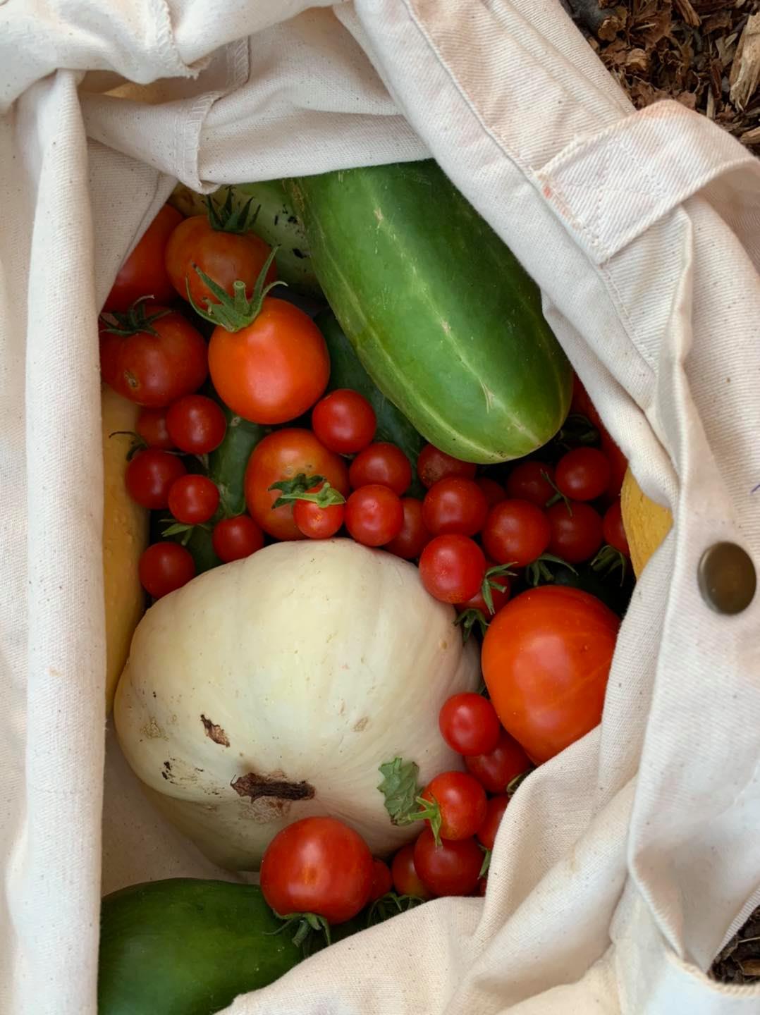 Bag of vegetables