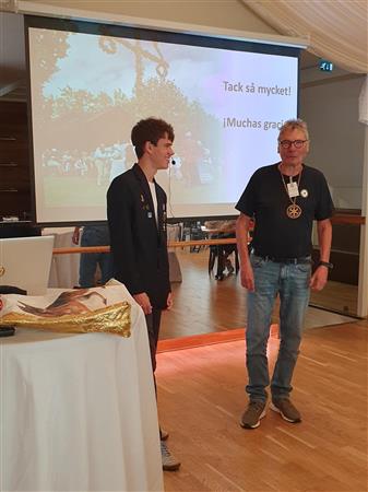 artikeltumnagel