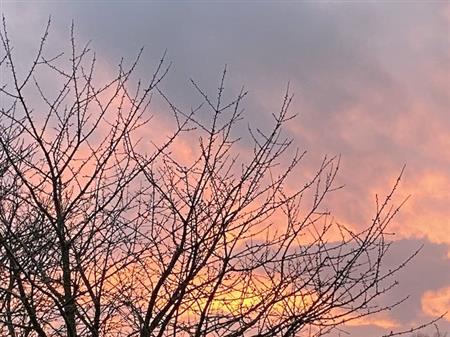 story-thumbnail
