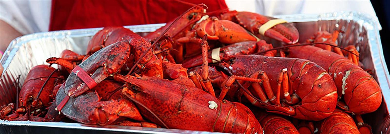 Home Page Yorba Linda Sunrise Rotary Club