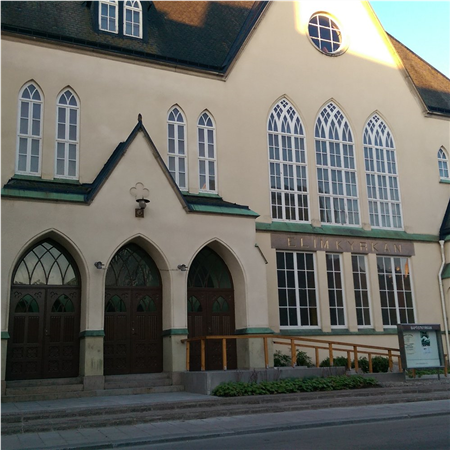 artikeltumnagel