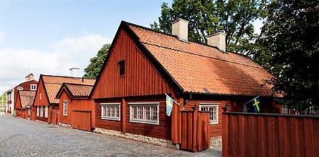 artikeltumnagel