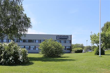 artikeltumnagel