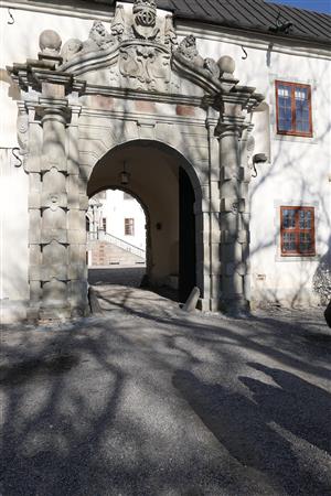 artikeltumnagel