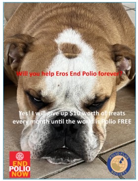 Polio---kennel-2.jpg