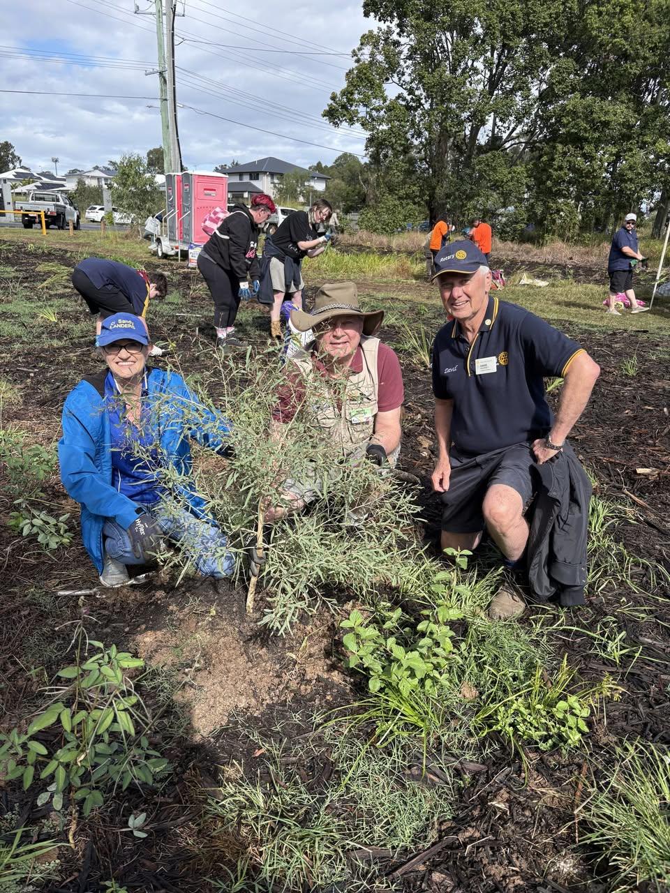 Planting Trees with Brisbane city Council
