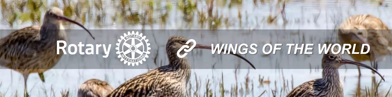 DC-Wings-of-the-World.jpg